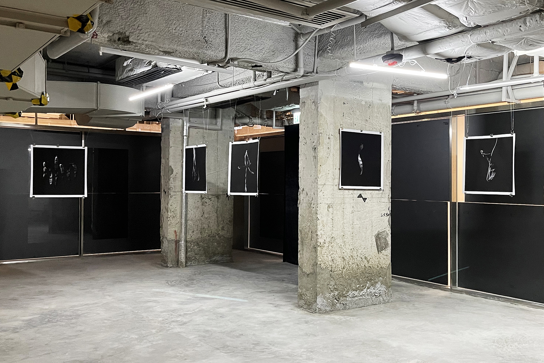 Where the Firework Dies Exhibition