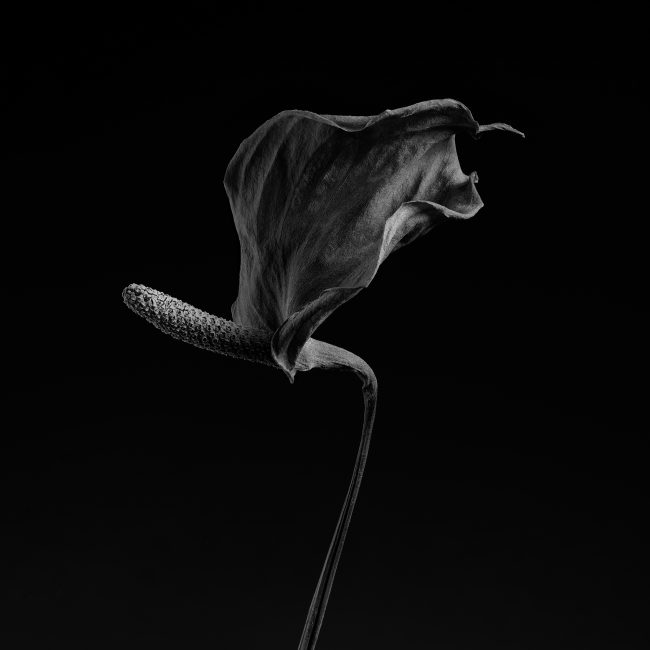 What Remains