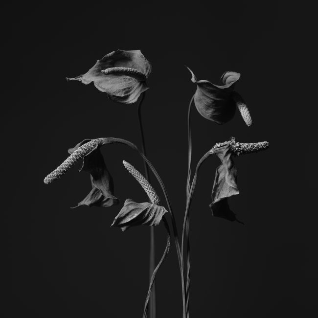 Ch7_10