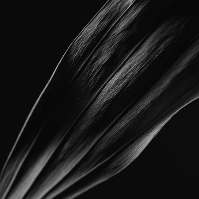 Ch7_13